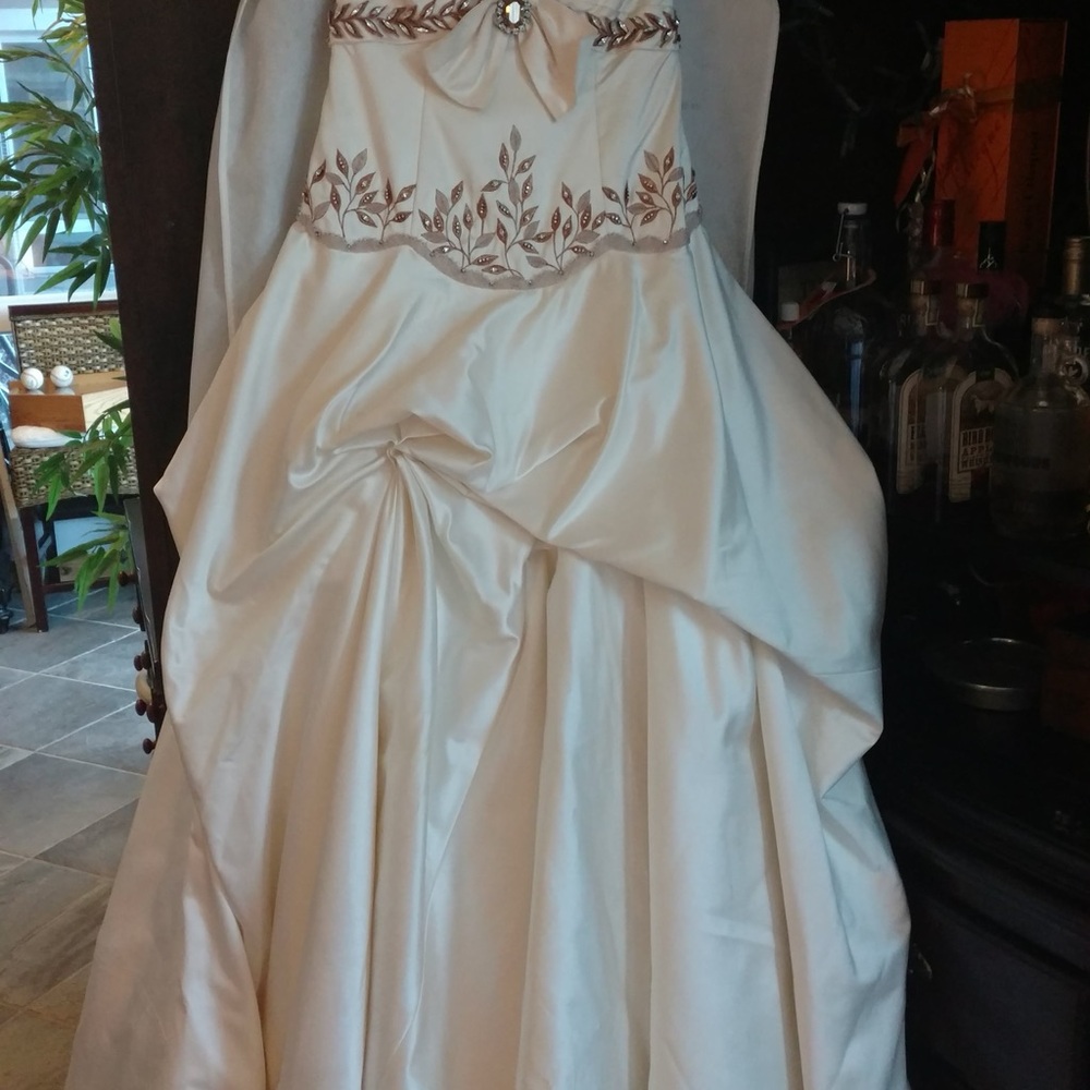 Stunning Champagne W/Swarovski ❤️Wedding gown/dress, runway show size 10 - Picture 8 of 10